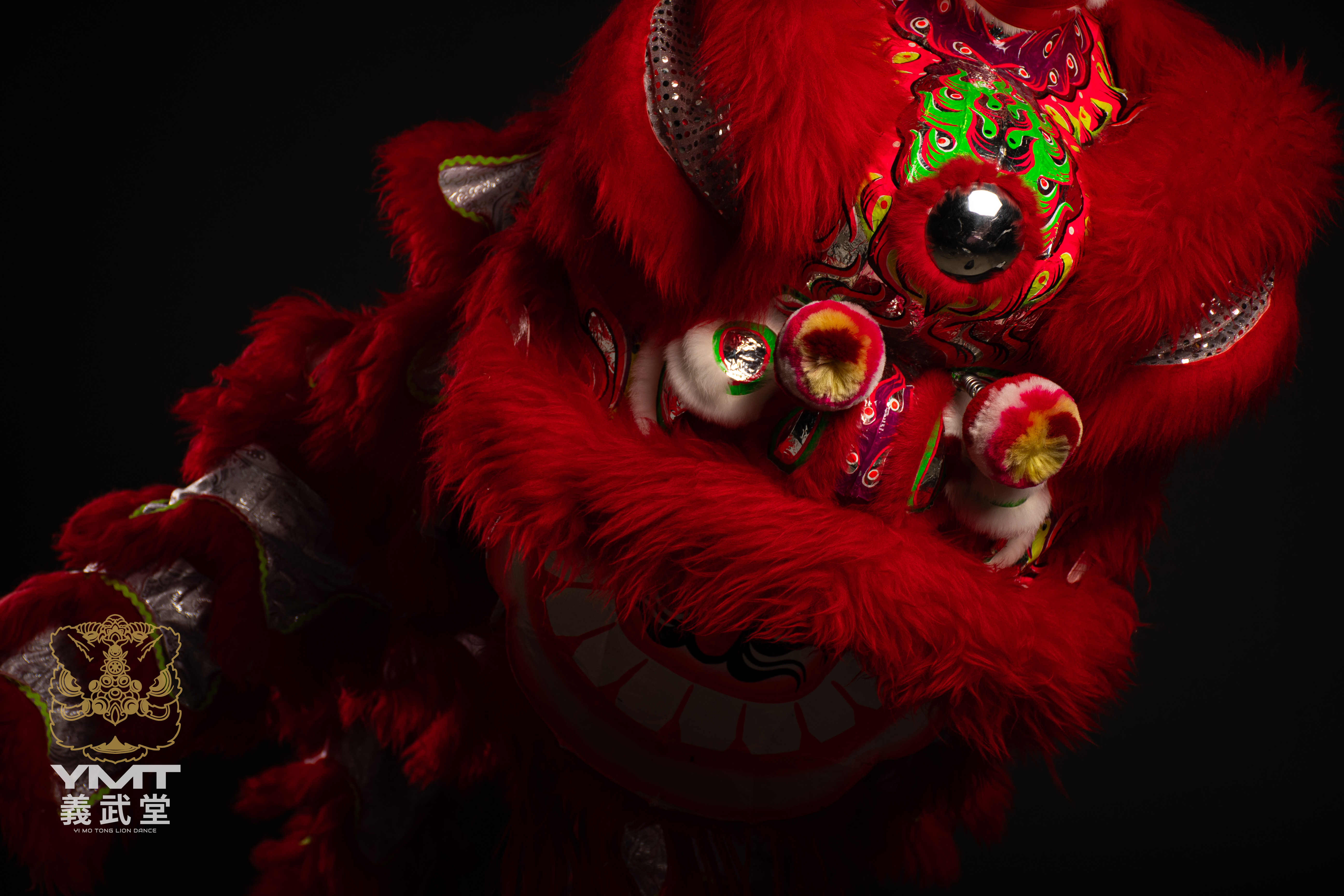 lion picture A Red/Silver